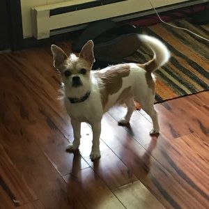 Meet your Posher, Laura